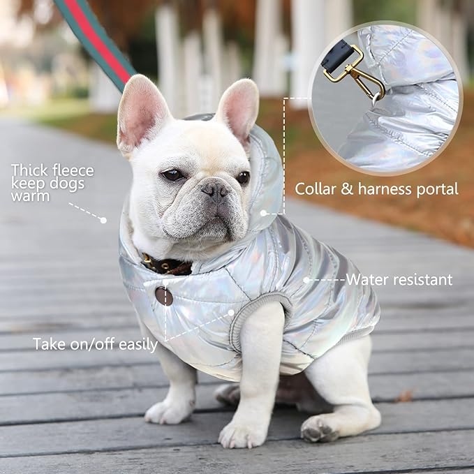 Windproof Waterproof Dog Coat Fleece & Cotton Lined Warm Jacket, Cold Weather Pet Apparel Clothes Vest for Small to Large Dogs (2XL, Silver)