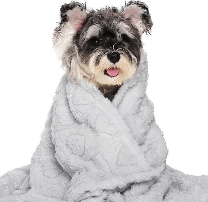 gogobunny Calming Plush Dog Cat Blanket 300GSM Coral Fleece, Ultra-Soft Machine Washable Pet Bedding for Small Medium Dogs Cats Puppies Kittens (Silver, 30x40)