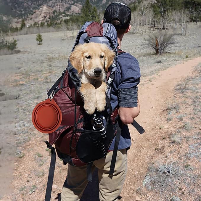 SLSON 2Pack Collapsible Dog Bowl,Integrated Molding Travel Bowl No Plastic Rim Pet Feeding Bowls for Walking Traveling Outdoors,600ML (Brown+Grey)