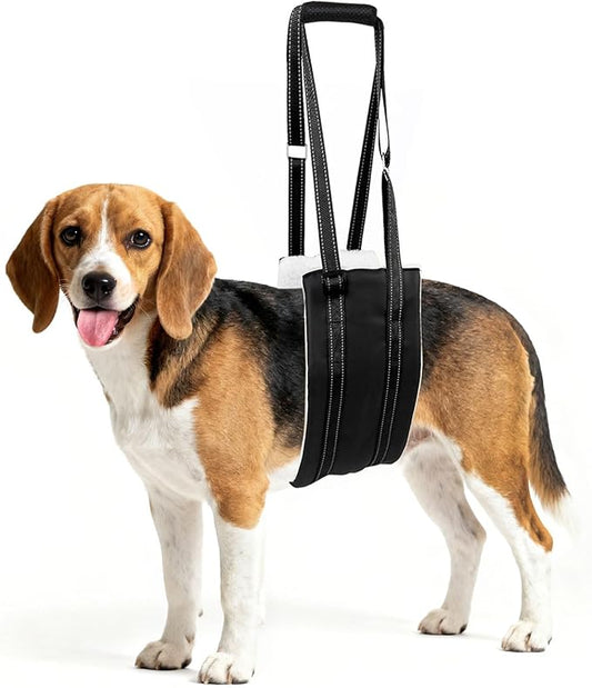 Jestrem Dog Lift Harness, Adjustable Comfortable Dog Sling with Handle for Large Dog Knee Brace for Torn ACL Hind Leg, Weak Rear Legs, Helps Senior, Injured, Disabled,M