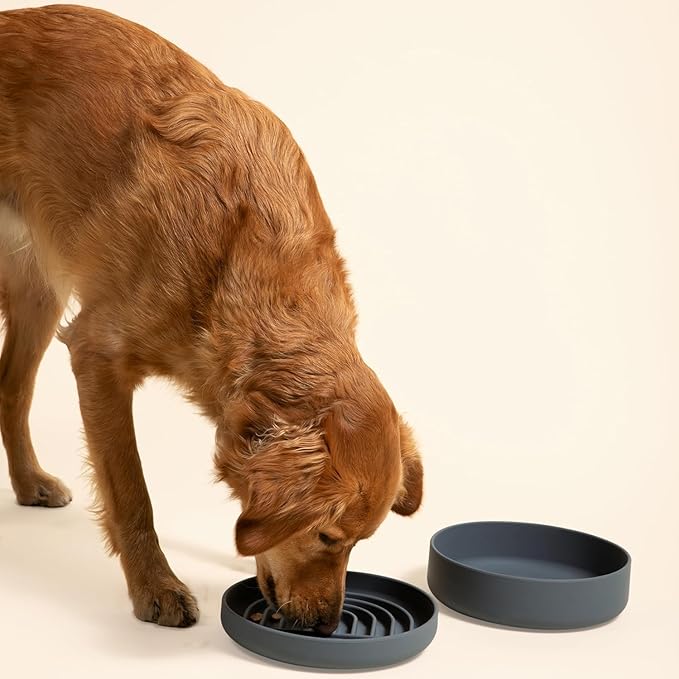 Should We Go? Dog Water Bowl - The Perfect Dish No-Spill, Less Mess Non-Tippable Water & Food Bowl Pure Silicone with Suction Cup Fits 8 Cups 9.5" Across x 2.5" Tall Ideal for All Pets, Large-Charcoal