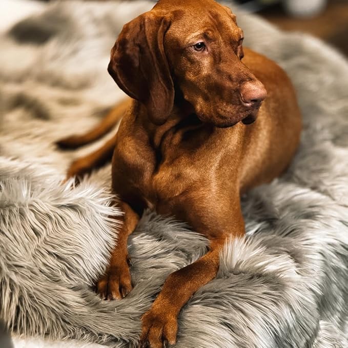 Waterproof Dog Blanket for Small, Medium & Large Dogs – Faux Fur Pet Throw for Couch, Sofa, Bed & Car – Soft, Washable, Stain-Resistant, Durable Cover – Grey – 80" x 60"