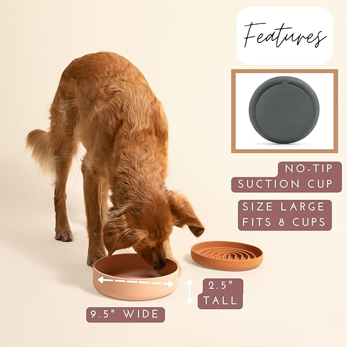 Should We Go? Dog Water Bowl - The Perfect Dish No-Spill, Less Mess Non-Tippable Water & Food Bowl Pure Silicone with Suction Cup Fits 8 Cups 9.5" Across x 2.5" Tall Ideal for All Pets, Large-Charcoal