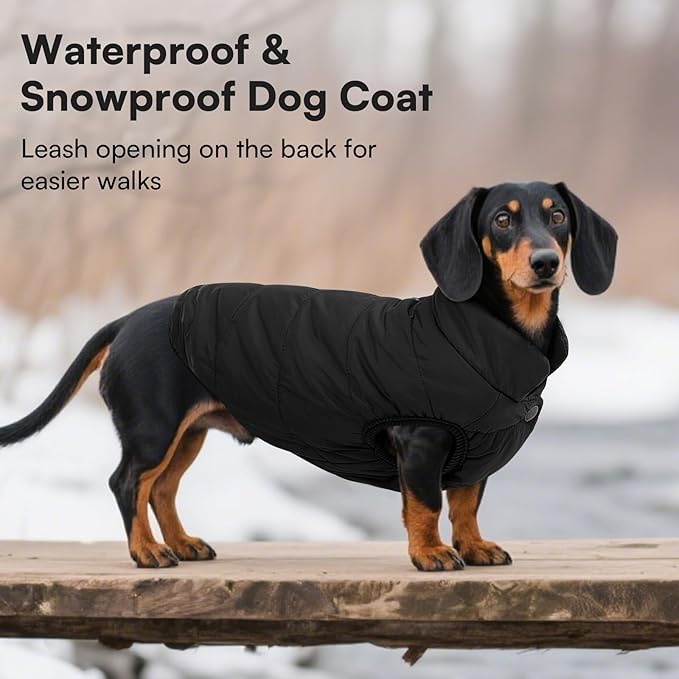ASENKU Windproof Dog Winter Coat Waterproof Fleece Jacket Cold Weather Pet Apparel for Small Medium Large Dogs (Black, M)