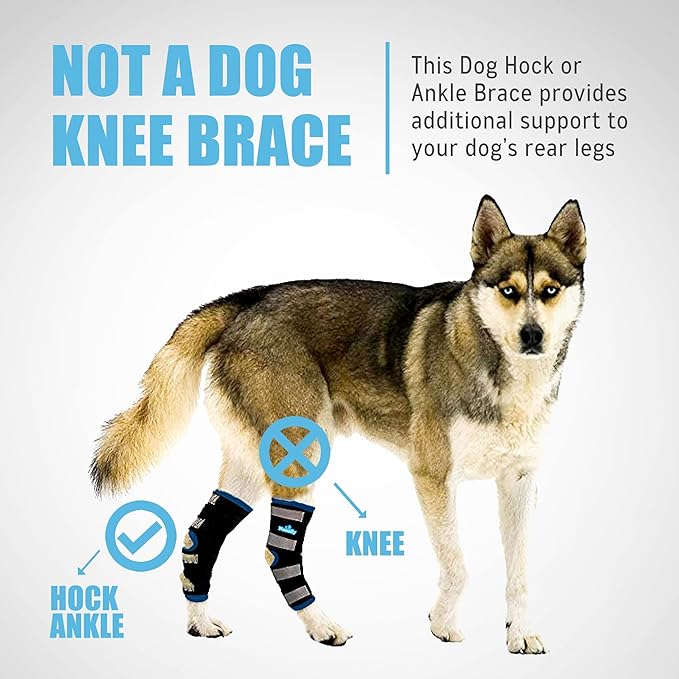 NeoAlly Dog Leg Brace [Long Version] Canine Hind Hock Support with Safety Reflective Straps for Injury and Sprain Protection, Wound Healing and Loss of Stability from Arthritis (Blue XS Pair)
