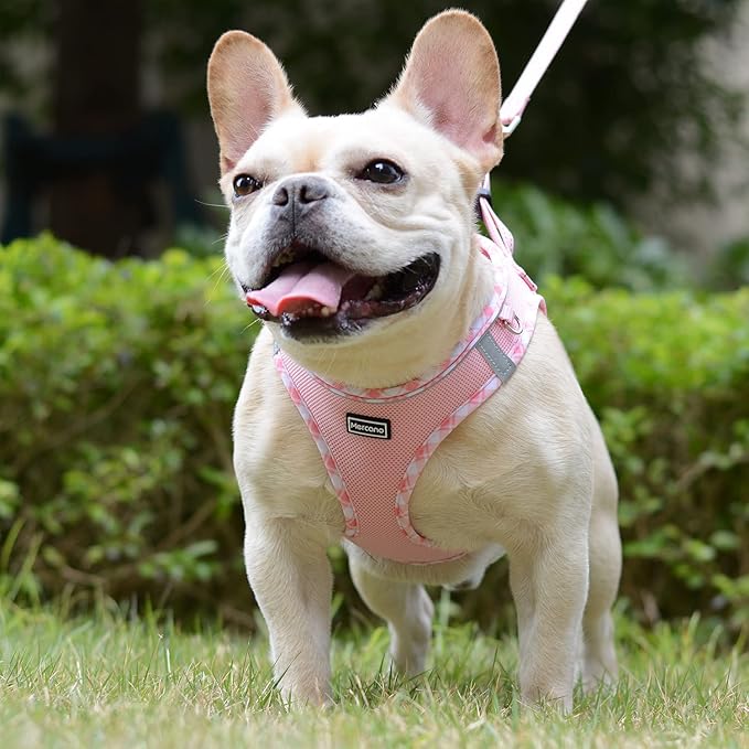 Mercano Soft Mesh Dog Harness and Leash Set, No-Chock Step-in Reflective Breathable Lightweight Easy Walk Vest Harnesses with Safety Buckle for Small Dogs, Cats (Pink, L)