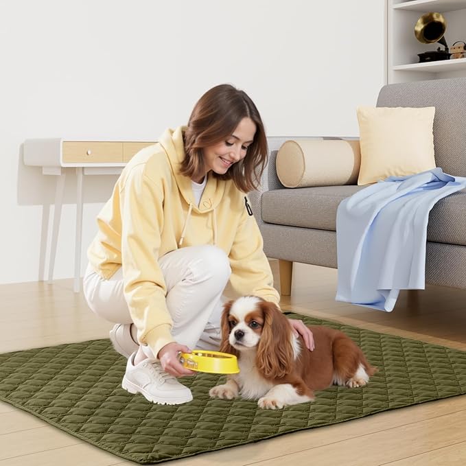 Smiry Waterproof Dog Bed Cover Blanket, Soft Reversible Pet Blanket, Washable Leakproof Cats Dogs Couch Cover for Sofa, Couch, Furniture, Plaid (30x53 Inch, Green/Navy)