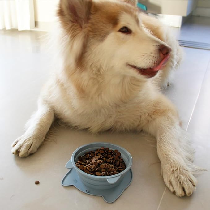 RUNROLE 2-in-1 Collapsible Silicone Dog Travel Bowls Detachable Pet Food and Water Bowl Set Portable Dog Bowls Pop Up Cat Feeding Watering Dishes，20OZ+27OZ (Slate Blue)