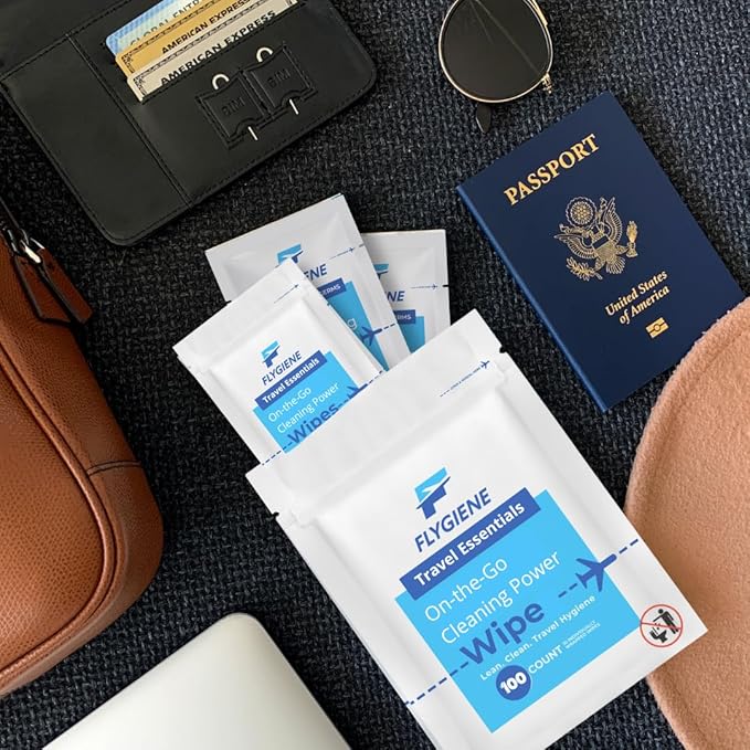 Travel Sanitizing Wipes (100 Count (100 individual wipes))