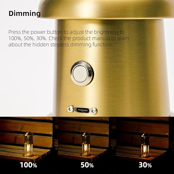 Metal Vintage LED Camping Lantern, 5200mAh Rechargeable Battery Last 12-430 Hours Camping Lamp, 3 Modes Hanging Lantern, Retro Camping Light for Courtyard Outdoor Decoration