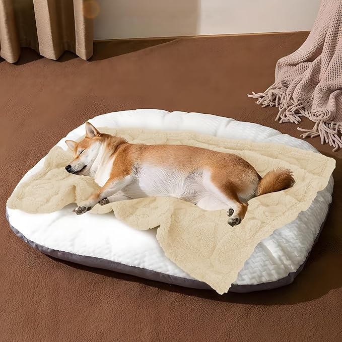 MACEVIA Fluffy Fleece Dog Blankets,Warm Soft Fuzzy Pets Blanket for Puppy,Small,Medium,Large Dogs and Cats,Plush Pet Throws for Bed,Couch,Sofa,Travel(24x29 Inch,Cream)