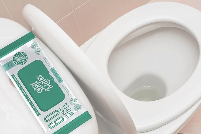 Stall Mates Wipes: Flushable Wipes | 60-Wipe Home Pack | Hypoallergenic | Unscented with Vitamin-E & Aloe | (4 Pack - 240 Total)