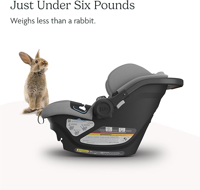 UPPAbaby Aria Lightweight Infant Car Seat/Just Under 6 lbs for Easy Portability/Base with Load Leg + Infant Insert Included/Direct Stroller Attachment/Anthony