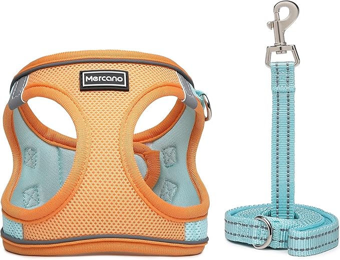 Mercano Soft Mesh Dog Harness and Leash Set, No-Chock Step-in Reflective Breathable Lightweight Easy Walk Vest Harnesses with Safety Buckle for Small Dogs, Cats (XXS, Orange Blue)