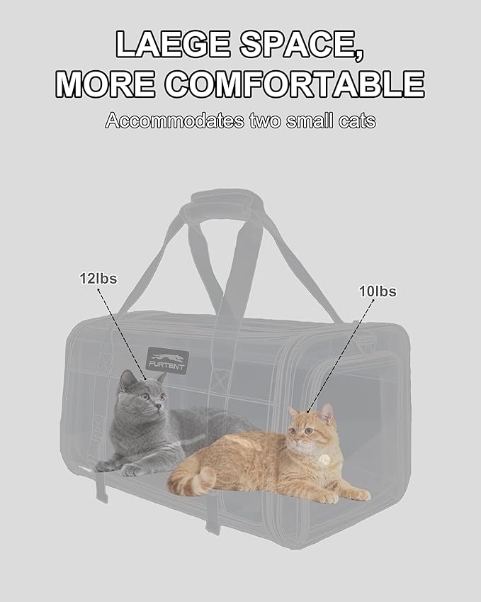 Soft-Sided Large Cat Carrier for 2 Cats, Spacious Foldable Pet Travel Carrier for Large Cats up to 25 Lbs, Double Cat Bag with Shoulder Strap, 20x13x13 Inch, Fits Maine Coon and Small Dogs, Black