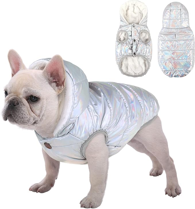 Windproof Waterproof Dog Coat Fleece & Cotton Lined Warm Jacket, Cold Weather Pet Apparel Clothes Vest for Small Medium Large Dog (S, Silver)