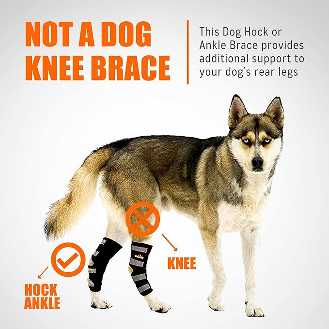 NeoAlly® - Rear Leg Hock Brace, Dog Leg Brace for Rear Leg, Hock & Ankle Support for Hind Legs, Dog Brace for Torn Acl and Ccl, Long Version, X-Small, 1 Pair