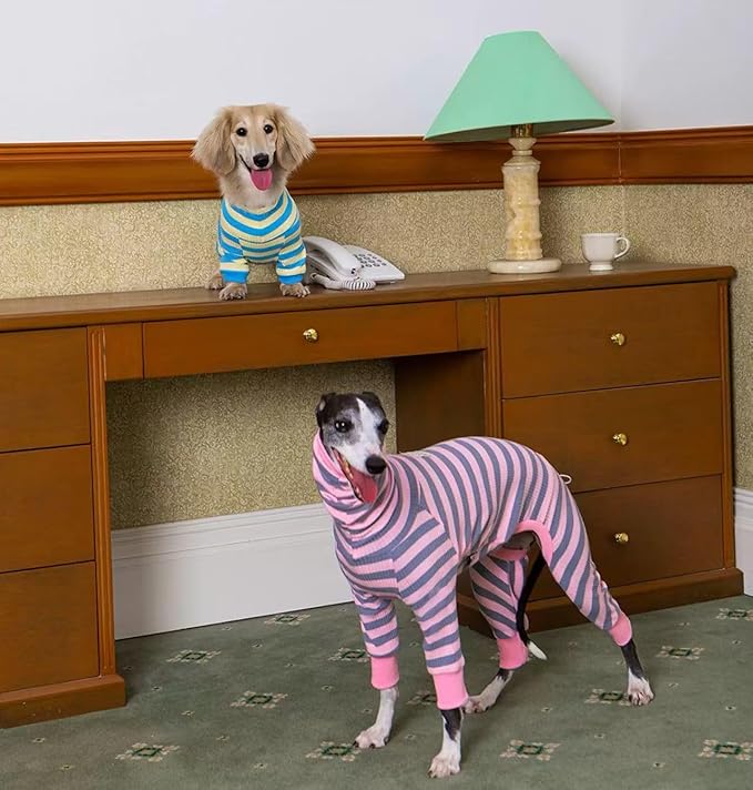HowlyWoof Dachshund Dog Shirt, Thin Striped Base Layer Onesie for Wiener Dogs, Lightweight All-Season Wear, Soft & Comfy Fit for Doxie and Short-Leg Breeds (Blue&Yellow, Size 2 (11-16 lbs))