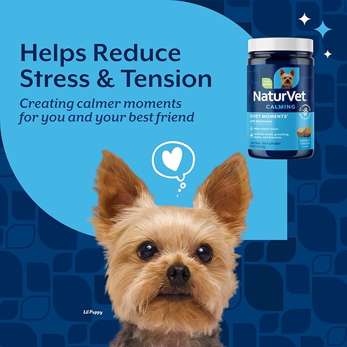 NaturVet Quiet Moments Calming Dog Supplement, Dog Soft Chews with Melatonin to Help Reduce Stress from Storms, The Vet, Fireworks, and Travel, Bacon and Chicken Flavored Pet Supplement, 70 Count Jar