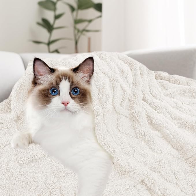 MACEVIA Fluffy Fleece Dog Blankets,Warm Soft Fuzzy Pets Blanket for Puppy,Small,Medium,Large Dogs and Cats,Plush Pet Throws for Bed,Couch,Sofa,Travel(29x40 Inch, Beige)