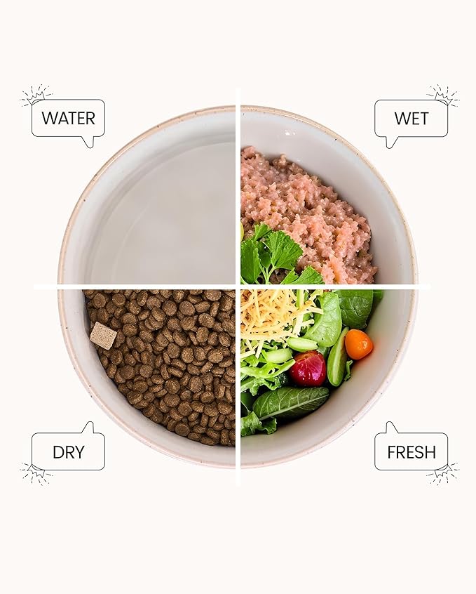 Ceramic Dog Bowls, 4 Cups Food and Water Bowl for Puppy, Small & Medium Sized Dogs, Cute Dog Dish, Easy to Clean, Vanilla White