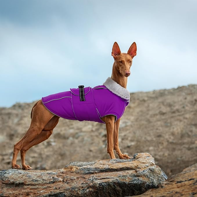 Lelepet Warm Dog Winter Coats for Extra Large Dogs Waterproof Dog Jacket Reflective Pet Fleece Vest Windproof Cold Weather Coats with Adjustable Buckle & Leash Hole, Purple, XXXL
