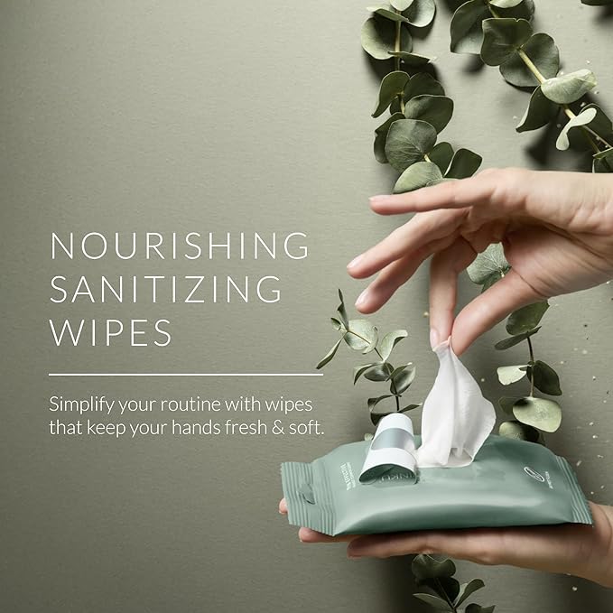 Noshinku Eucalyptus Hand Sanitizer Wipes, 3-Pack (45 Towelettes) – Resealable Travel Wipes with Ethyl Alcohol, Aloe & Green Tea, Plant-Based Fiber, Essential Oil Scents, Cruelty-Free & No Dyes