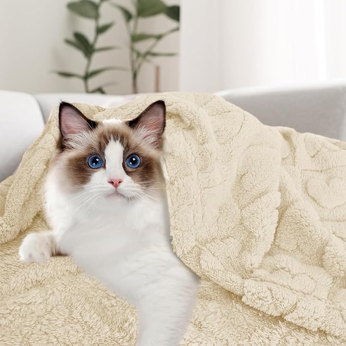 MACEVIA Fluffy Fleece Dog Blankets,Warm Soft Fuzzy Pets Blanket for Puppy,Small,Medium,Large Dogs and Cats,Plush Pet Throws for Bed,Couch,Sofa,Travel(24x29 Inch,Cream)