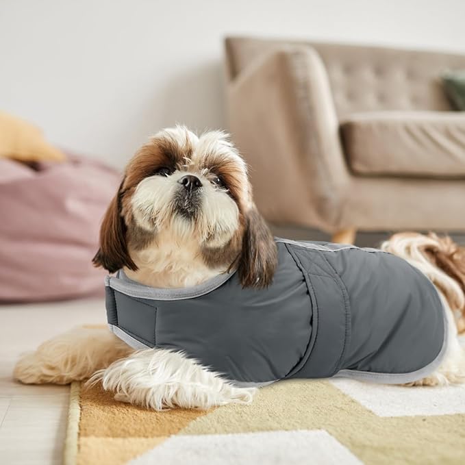 Queenmore Dog Winter Coat, Cold Weather Fleece Jacket for Dogs, Waterproof Reflective Reversible, for Small, Medium and Large Dogs (Grey, L)