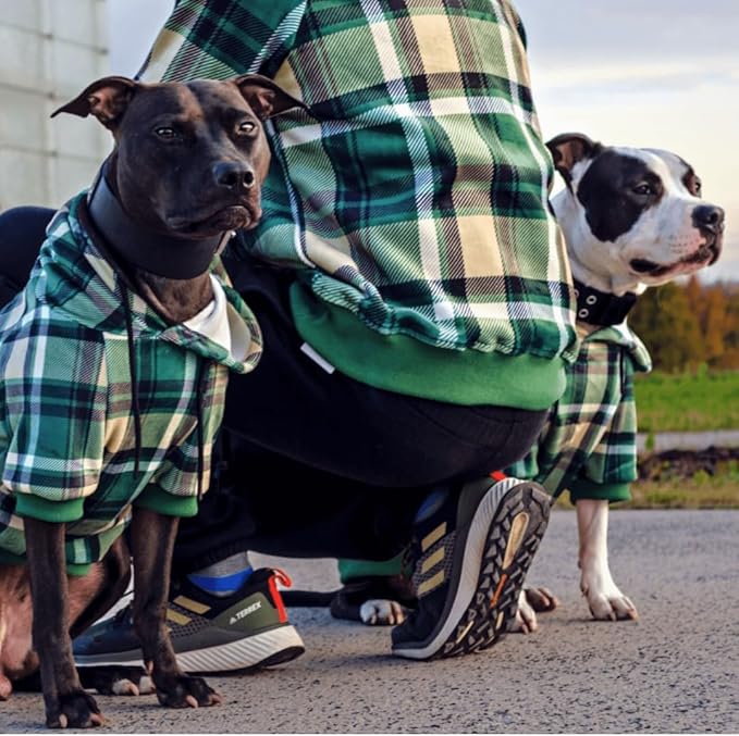Spark Paws Dog Hoodie – Premium Dog Sweater for Small, Medium, and Large Dogs | Warm Outfits for French Bulldogs, Pitbull, Puppy, Winter Jacket Alternative - Green Plaid - L