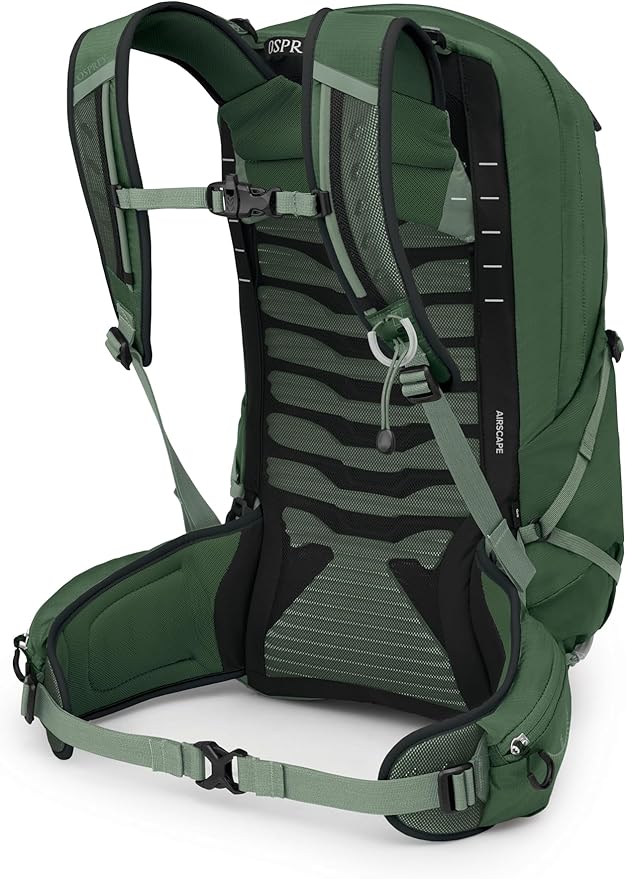 Osprey Talon 22L Men's Lightweight Hiking Backpack - Small Daypack for Travel & Camping, Green Canopy/Pine Leaf