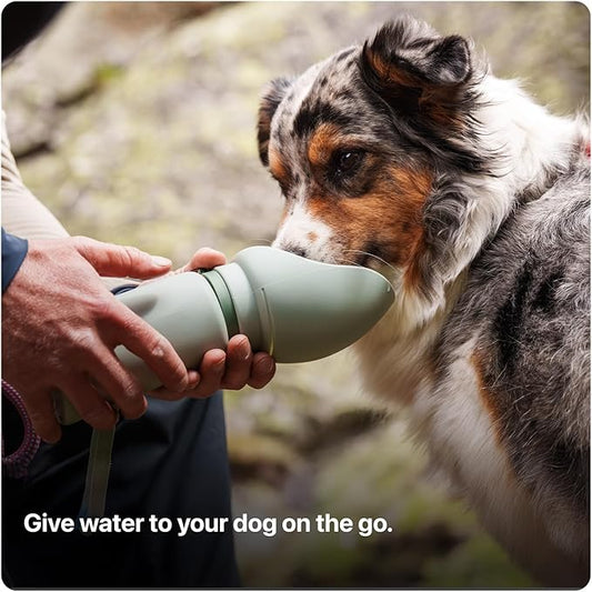 SÄKER Portable Dog Water Bottle, Collapsible Water Bottle for Dogs Perfect for Walking, Hiking and Outdoors | Works as a Portable Water Bowl | Designed in Montreal - 550ml