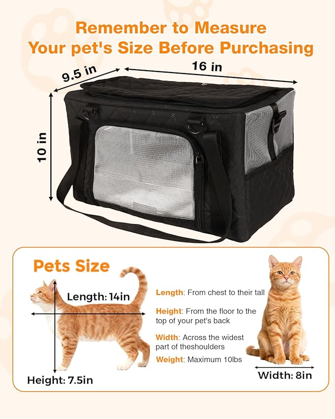PETUX Airline Approved Cat Carrier for Small Cat - 16" x 10" x 9.5", Double Anti-Escape, Collapsible, Underseat, Under 10 lb with Removable Snack Bag, Safety Buckle, Leash - Ideal for Travel - Grey