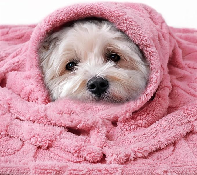 Luciphia 1 Pack 2 Small Dog Blanket Washable Pet Bed Cover Soft Fluffy Puppy Blanket with Premium Fleece 300GSM Cozy Calming Cat Blankets for Indoor Cats Pink 57x40 inch