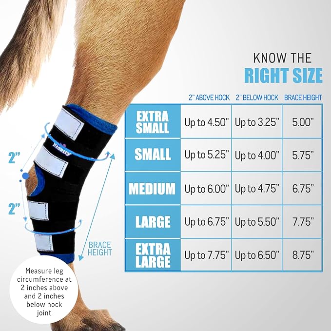 NeoAlly Dog Leg Brace [Long Version] Canine Hind Hock Support with Safety Reflective Straps for Injury and Sprain Protection, Wound Healing and Loss of Stability from Arthritis (Blue XS Pair)