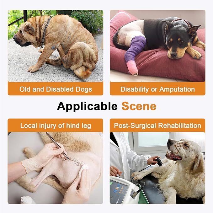 COODEO Professional Dog Sling for Hind Leg Support - Aid for Post-ACL/TPLO Surgery & Senior Dogs, Secure,Breathable & Machine-Washable with Reflective Edging for Safe Walks (Black, XL)