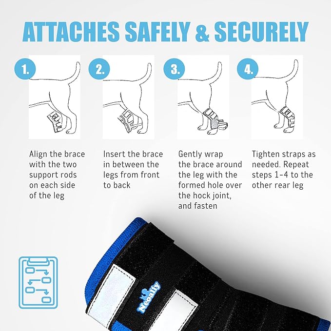 NeoAlly Dog Leg Brace [Long Version] Canine Hind Hock Support with Safety Reflective Straps for Injury and Sprain Protection, Wound Healing and Loss of Stability from Arthritis (Blue XS Pair)