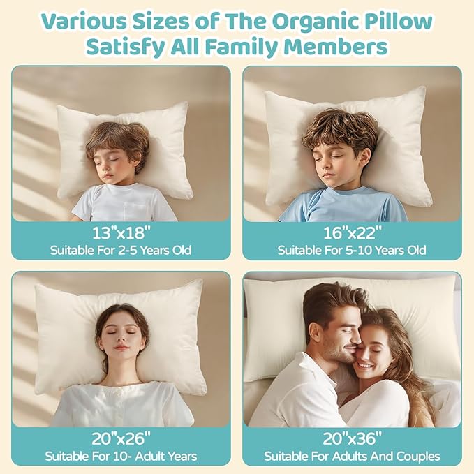LOFE Organic Kids Pillow with Pillowcase - 16x22 Toddler Pillow with 100% Organic Cotton Shell, 2 Pack Adjustable Loft Youth Pillow, Machine Washable Organic plilow, Soft, Perfect for Kids&Youth