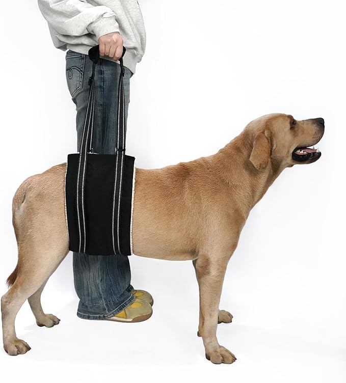 COODEO Adjustable Comfortable Dog Sling with Handle Hind Leg Support Soft Lift Support and Rehab Harness for Weak Rear Legs,Helps Senior, Injured, Disabled and After ACL Surgery Dogs Large (Black, S)