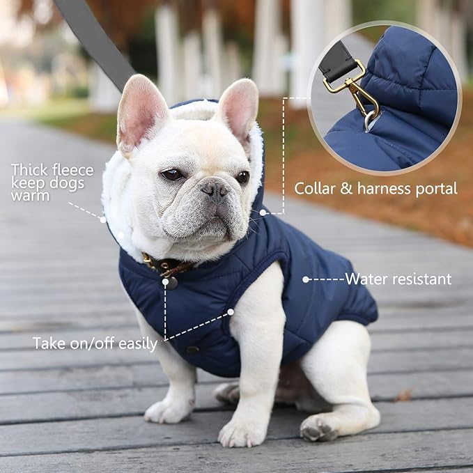 Windproof Waterproof Dog Coat Fleece & Cotton Lined Warm Jacket, Cold Weather Pet Apparel Clothes Vest for Small Medium Large Dog (XL, Blue)