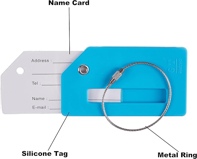 Gostwo 2 Pack Silicone Luggage Tags for Suitcases, 26 Initial Letter Baggage Labels Handbag School Bag Suitcase Instrument Tag with Stainless Steel Loop(Sky Blue)(Airplane)