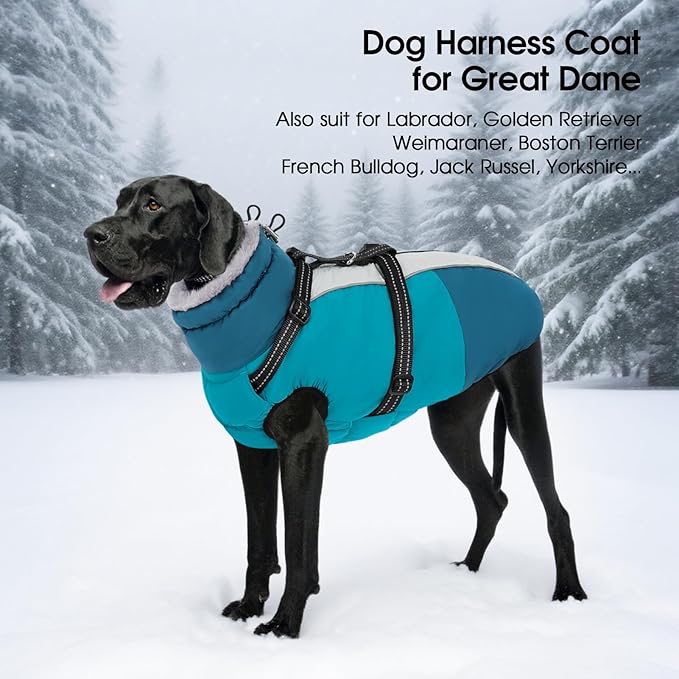 SUNFURA Dog Coat, Warm Dog Jacket with Harness Built in, Waterproof Pet Winter Coat Snowsuit with Zipper, Reflective Fleece Jacket for Extra Large Dogs, Weimaraner, Turquoise XXL