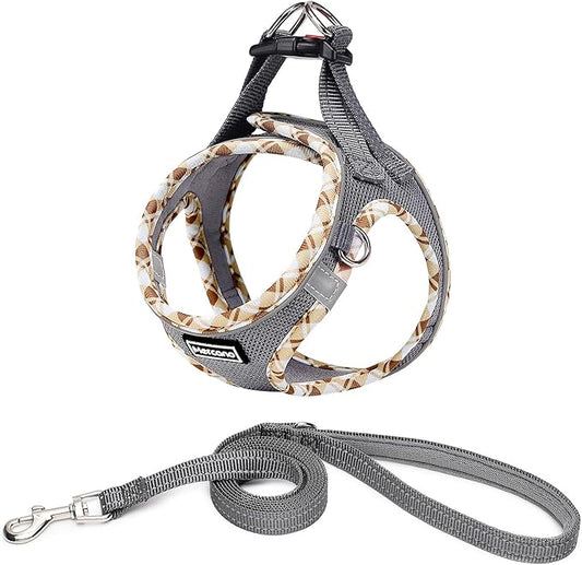 Mercano Soft Mesh Dog Harness and Leash Set, No-Chock Step-in Reflective Breathable Lightweight Easy Walk Vest Harnesses with Safety Buckle for Small Dogs, Cats (Grey, L)