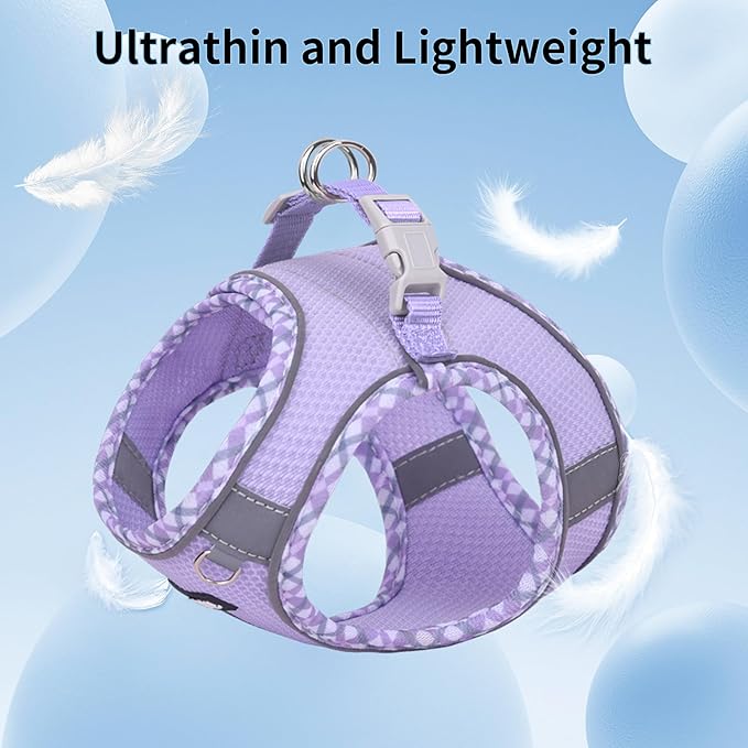 AIITLE Dog Harness and Leash Set - Ultra-Comfortable XXS-XL Vest with Strong Magic Tape & Glow-in-Dark Reflective Strips, Chafe-Free for Teddy, Schnauzer (Purple, M)