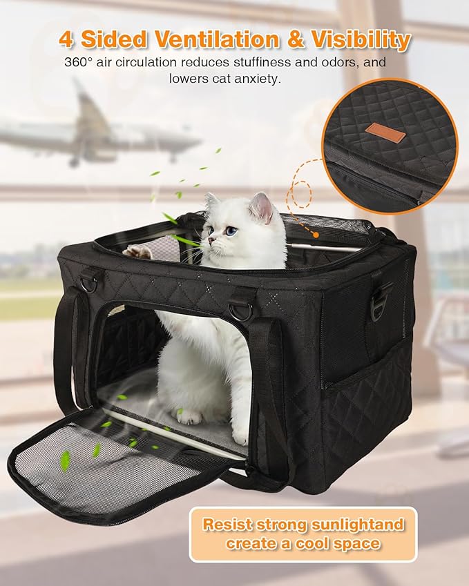 PETUX Airline Approved Cat Carrier for Small Cat - 16" x 10" x 9.5", Double Anti-Escape, Collapsible, Underseat, Under 10 lb with Removable Snack Bag, Safety Buckle, Leash - Ideal for Travel - Black