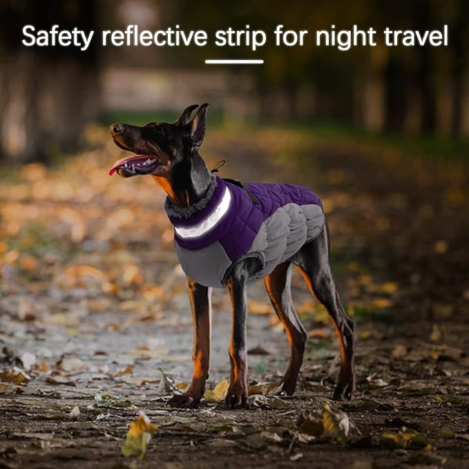 OUOBOB Winter Dog Coat,Large Dog Jacket,Waterproof Pet Jacket with Back Zipper,Pet Coat with Harness Built in,Warm Dogs Coat with Fleece Lined, Snow Jacket Clothes French Bulldog Shiba Inu,Purple,L