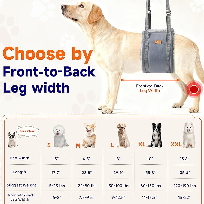 Dog Lift Harness for Small Dogs, Adjustable Dog Sling for Back Legs, Hip Support Harness to Help Lift Dogs Rear for Helps Senior, Injured, Disabled and After ACL Surgery Dogs - Small, Grey