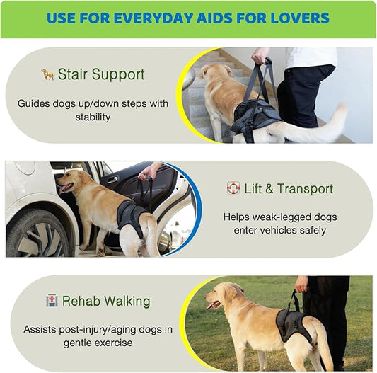 BARDIMIES Dog Lift Harness for Back Legs–Sturdy Dog Support Sling–Hip Sling Carrier for Large Medium Canine, Stair Helper for Aid Old Ligament Rehabilitation Pet, Grey-XL