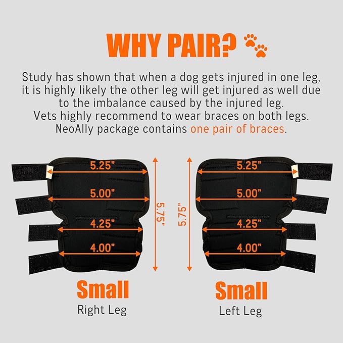 NeoAlly® - Rear Leg Hock Brace, Dog Leg Brace for Rear Leg, Hock & Ankle Support for Large Dogs, Dog Brace for Torn Acl and Ccl, Long Version, Small, 1 Pair