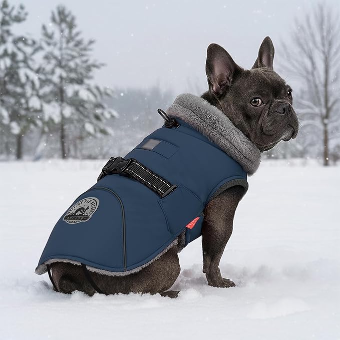 KYEESE Waterproof Dog Coat, Windproof Warm Winter Jacket with Thick Fleece Lined, Turtleneck Dog Coats for Small Dogs with Leash Hole, Reflective Outdoor Cold Weather Coat, Navy Blue, Medium